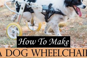 DIY Dog Wheelchair: Help Your Dog Roll Again! The DIY Hub: Creative Crafts, Repairs & Life Hacks DIY Dog Wheelchair: Help Your Dog Roll Again! | The DIY Hub: Creative Crafts, Repairs & Life Hacks
