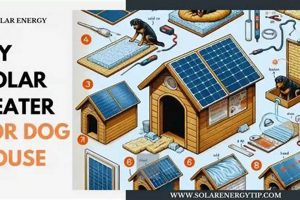 Build a Warm & Cozy DIY Dog House with Heater: Plans & Ideas The DIY Hub: Creative Crafts, Repairs & Life Hacks Build a Warm & Cozy DIY Dog House with Heater: Plans & Ideas | The DIY Hub: Creative Crafts, Repairs & Life Hacks