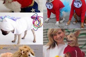 Easy DIY Dog Costumes: Fun & Unique Ideas The DIY Hub: Creative Crafts, Repairs & Life Hacks Easy DIY Dog Costumes: Fun & Unique Ideas | The DIY Hub: Creative Crafts, Repairs & Life Hacks