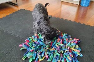 Easy DIY Enrichment Toys for Dogs: Fun & Games! The DIY Hub: Creative Crafts, Repairs & Life Hacks Easy DIY Enrichment Toys for Dogs: Fun & Games! | The DIY Hub: Creative Crafts, Repairs & Life Hacks