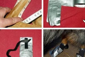DIY Dog Shoes: Paw Protection Made Easy for Dogs The DIY Hub: Creative Crafts, Repairs & Life Hacks DIY Dog Shoes: Paw Protection Made Easy for Dogs | The DIY Hub: Creative Crafts, Repairs & Life Hacks