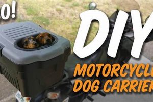 DIY Dog Carrier: Motorcycle Adventures On a Budget! The DIY Hub: Creative Crafts, Repairs & Life Hacks DIY Dog Carrier: Motorcycle Adventures On a Budget! | The DIY Hub: Creative Crafts, Repairs & Life Hacks