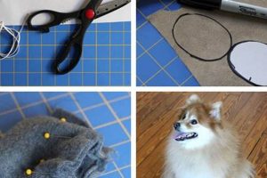 Easy DIY Dog Booties: Protect Your Pup's Paws! The DIY Hub: Creative Crafts, Repairs & Life Hacks Easy DIY Dog Booties: Protect Your Pup's Paws! | The DIY Hub: Creative Crafts, Repairs & Life Hacks
