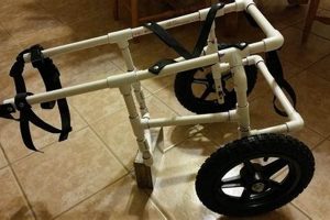 DIY Dog Wheelchair: Your Easy & Cheap Mobility Solution The DIY Hub: Creative Crafts, Repairs & Life Hacks DIY Dog Wheelchair: Your Easy & Cheap Mobility Solution | The DIY Hub: Creative Crafts, Repairs & Life Hacks