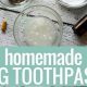 Easy DIY Dog Toothpaste: Natural & Safe Recipes | The DIY Hub: Creative Crafts, Repairs & Life Hacks