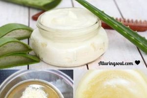 Best DIY Hair Moisturizer Recipes at Home | Hair Tips The DIY Hub: Creative Crafts, Repairs & Life Hacks Best DIY Hair Moisturizer Recipes at Home | Hair Tips | The DIY Hub: Creative Crafts, Repairs & Life Hacks