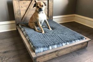Build-It Better: DIY Dog Bed Wooden Projects & Plans! The DIY Hub: Creative Crafts, Repairs & Life Hacks Build-It Better: DIY Dog Bed Wooden Projects & Plans! | The DIY Hub: Creative Crafts, Repairs & Life Hacks