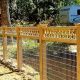 Cheap & Clever DIY Dog Fence Ideas: Safe & Secure! | The DIY Hub: Creative Crafts, Repairs & Life Hacks
