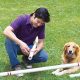 Build a Budget DIY Dog Agility Course (Easy Plans) | The DIY Hub: Creative Crafts, Repairs & Life Hacks