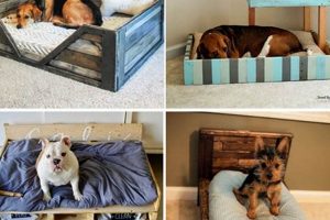 Easy DIY Dog Bed Ideas: Build a Cozy Haven The DIY Hub: Creative Crafts, Repairs & Life Hacks Easy DIY Dog Bed Ideas: Build a Cozy Haven | The DIY Hub: Creative Crafts, Repairs & Life Hacks