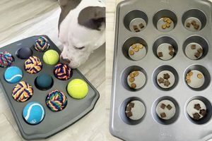 Easy DIY Dog Enrichment Toys: Fun & Games! The DIY Hub: Creative Crafts, Repairs & Life Hacks Easy DIY Dog Enrichment Toys: Fun & Games! | The DIY Hub: Creative Crafts, Repairs & Life Hacks