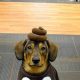 Easy Last Minute DIY Dog Costume Ideas (Cute &amp; Fast!) | The DIY Hub: Creative Crafts, Repairs & Life Hacks