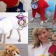 DIY Delight: Cute Costumes for Dogs DIY Fun! | The DIY Hub: Creative Crafts, Repairs & Life Hacks