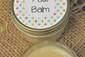 Best DIY Paw Balm for Dogs: Simple & Soothing Recipes! | The DIY Hub: Creative Crafts, Repairs & Life Hacks