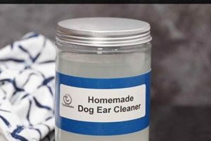 Easy Dog Ear Cleaner DIY: Safe & Simple Solutions The DIY Hub: Creative Crafts, Repairs & Life Hacks Easy Dog Ear Cleaner DIY: Safe & Simple Solutions | The DIY Hub: Creative Crafts, Repairs & Life Hacks