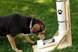 Easy DIY Gravity Dog Feeder: Plans & Save $! The DIY Hub: Creative Crafts, Repairs & Life Hacks Easy DIY Gravity Dog Feeder: Plans & Save $! | The DIY Hub: Creative Crafts, Repairs & Life Hacks