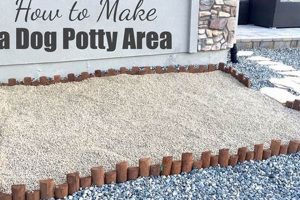 Easy DIY Dog Potty Area: Build Your Pup's Paradise | The DIY Hub: Creative Crafts, Repairs & Life Hacks