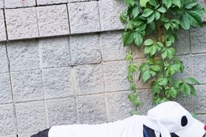 Spooky & Safe! DIY Dog Ghost Costume Ideas for Your Pup | The DIY Hub: Creative Crafts, Repairs & Life Hacks