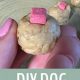 Easy DIY Pill Pockets for Dogs: Tips & Recipes | The DIY Hub: Creative Crafts, Repairs & Life Hacks