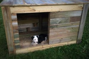 Easy Pallet Dog House DIY: Plans & Ideas for Your Dog | The DIY Hub: Creative Crafts, Repairs & Life Hacks