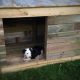 Easy Pallet Dog House DIY: Plans & Ideas for Your Dog | The DIY Hub: Creative Crafts, Repairs & Life Hacks