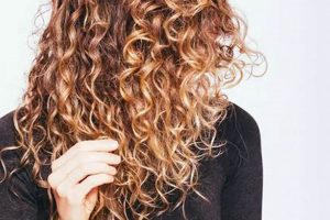 Easy DIY Conditioner for Curly Hair: Get Bouncy Curls! The DIY Hub: Creative Crafts, Repairs & Life Hacks Easy DIY Conditioner for Curly Hair: Get Bouncy Curls! | The DIY Hub: Creative Crafts, Repairs & Life Hacks