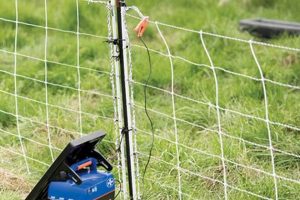DIY Dog Fence: Electric Freedom & Safety Guide The DIY Hub: Creative Crafts, Repairs & Life Hacks DIY Dog Fence: Electric Freedom & Safety Guide | The DIY Hub: Creative Crafts, Repairs & Life Hacks