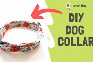 Easy DIY Dog E-Collar: Protect Your Pup Today! The DIY Hub: Creative Crafts, Repairs & Life Hacks Easy DIY Dog E-Collar: Protect Your Pup Today! | The DIY Hub: Creative Crafts, Repairs & Life Hacks