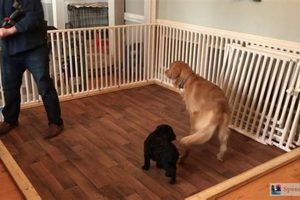Build a Safe DIY Indoor Dog Pen: Plans & Ideas The DIY Hub: Creative Crafts, Repairs & Life Hacks Build a Safe DIY Indoor Dog Pen: Plans & Ideas | The DIY Hub: Creative Crafts, Repairs & Life Hacks