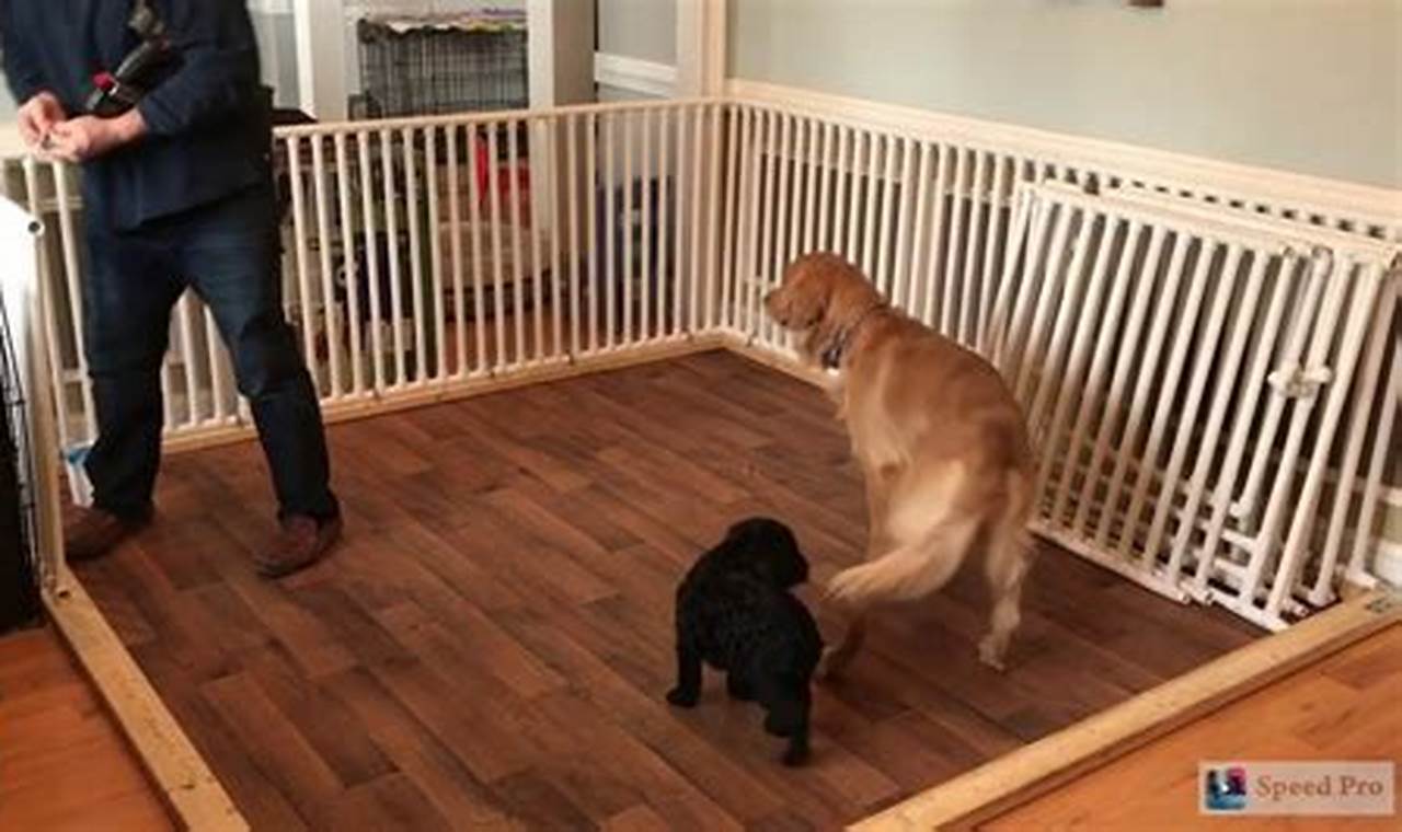 Snapshot of Puppy Indoor Playpen Plans