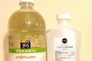 DIY Dog Ear Cleaning Solution: Safe & Easy Guide The DIY Hub: Creative Crafts, Repairs & Life Hacks DIY Dog Ear Cleaning Solution: Safe & Easy Guide | The DIY Hub: Creative Crafts, Repairs & Life Hacks