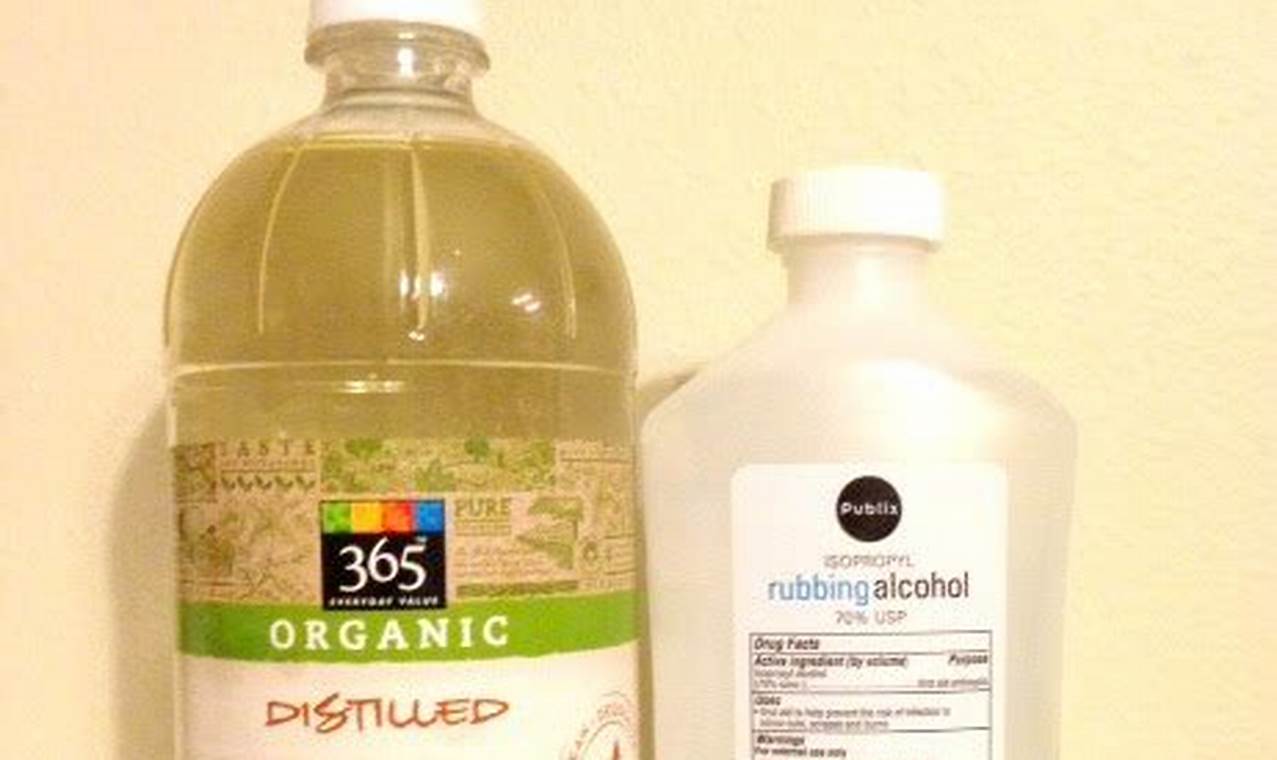 DIY Dog Ear Cleaning Solution: Safe & Easy Guide - Ear Cleaning Solution For Dogs Vs Vinegar Spray