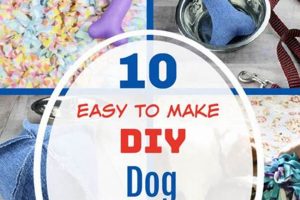 DIY Dog Enrichment Toys: Easy, Fun Projects The DIY Hub: Creative Crafts, Repairs & Life Hacks DIY Dog Enrichment Toys: Easy, Fun Projects | The DIY Hub: Creative Crafts, Repairs & Life Hacks