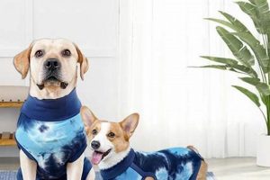 DIY Dog Recovery: T-Shirt for Dogs After Surgery (Easy!) The DIY Hub: Creative Crafts, Repairs & Life Hacks DIY Dog Recovery: T-Shirt for Dogs After Surgery (Easy!) | The DIY Hub: Creative Crafts, Repairs & Life Hacks