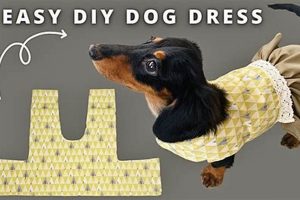 DIY: Easy Dog Dress - Trace a Harness Pattern! The DIY Hub: Creative Crafts, Repairs & Life Hacks DIY: Easy Dog Dress - Trace a Harness Pattern! | The DIY Hub: Creative Crafts, Repairs & Life Hacks