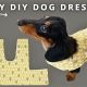 DIY: Easy Dog Dress - Trace a Harness Pattern! | The DIY Hub: Creative Crafts, Repairs & Life Hacks