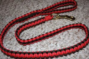 DIY Paracord Dog Leash: Easy, Strong &amp; Cool! | The DIY Hub: Creative Crafts, Repairs & Life Hacks
