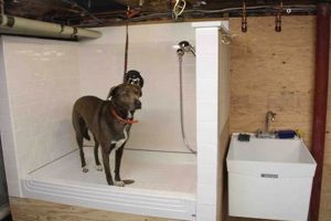 Find a Cheap DIY Dog Wash Station Near Me: Prices & Hours | The DIY Hub: Creative Crafts, Repairs & Life Hacks