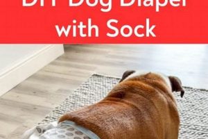 Easy DIY Dog Diaper with Sock: A Simple Solution! | The DIY Hub: Creative Crafts, Repairs & Life Hacks