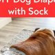Easy DIY Dog Diaper with Sock: A Simple Solution! | The DIY Hub: Creative Crafts, Repairs & Life Hacks