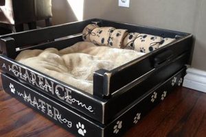 Build a Dream DIY Dog Couch! Easy & Stylish | The DIY Hub: Creative Crafts, Repairs & Life Hacks