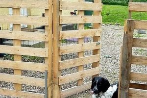 Build a Better Barrier: DIY Fence for Dog Safety Today! | The DIY Hub: Creative Crafts, Repairs & Life Hacks