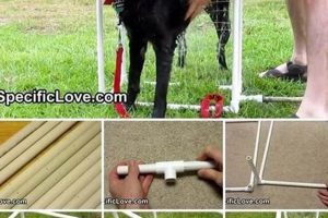 Easy DIY Dog Washer: Build Your Own Dog Bath! | The DIY Hub: Creative Crafts, Repairs & Life Hacks