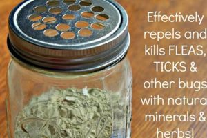 Natural Flea Treatment for Dogs DIY: Safe &amp; Easy | The DIY Hub: Creative Crafts, Repairs & Life Hacks