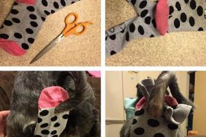 Easy DIY Dog Diaper Solutions: Homemade & Effective | The DIY Hub: Creative Crafts, Repairs & Life Hacks