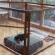 Build Your Own: Easy DIY Dog Playpen Plans Guide | The DIY Hub: Creative Crafts, Repairs & Life Hacks