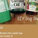 Easy DIY Dog Conditioner: Natural Coat Care Recipes | The DIY Hub: Creative Crafts, Repairs & Life Hacks
