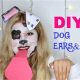 Easy Dog Ears DIY: Cute Canine Crafts! | The DIY Hub: Creative Crafts, Repairs & Life Hacks