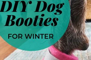 Easy DIY Boots for Dogs: Protect Paws! | The DIY Hub: Creative Crafts, Repairs & Life Hacks