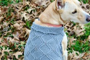 Easy DIY Dog Sweater: Craft a Cozy Look! The DIY Hub: Creative Crafts, Repairs & Life Hacks Easy DIY Dog Sweater: Craft a Cozy Look! | The DIY Hub: Creative Crafts, Repairs & Life Hacks